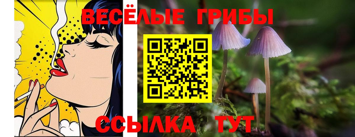 Кировск  Галлюциногенные грибы Psilocybine cubensis  Вход с VPN 